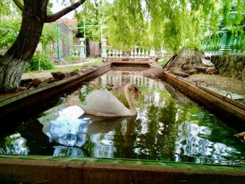 Hostal Luxury Guest House 29