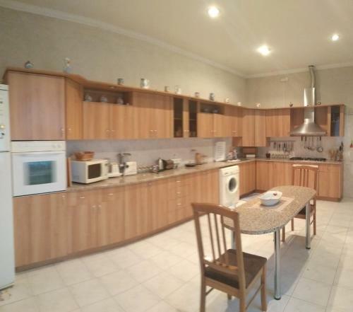 Villa Badamdar