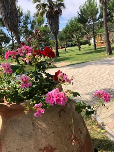 Apartamento Magic Lalzi Bay At Primavera Residence