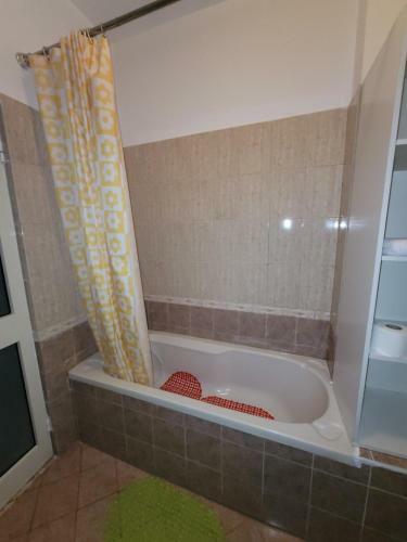 Apartament 37 In Bus Station
