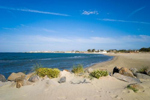 Apartamento R�sidence Le Palmyra Golf