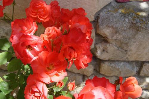 Manoir De La Pataudi�re B&B