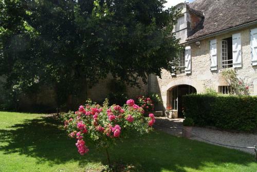 Manoir De La Pataudi�re B&B