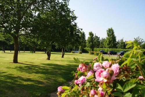 Manoir De La Pataudi�re B&B