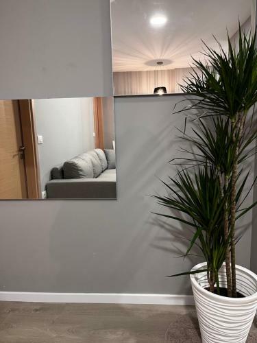 Belix Seaview Apartments