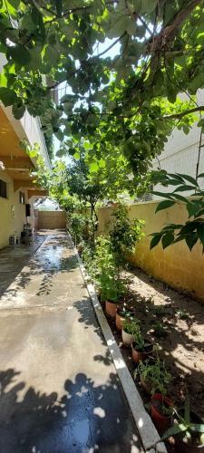 Hostal Villa Juvenilja