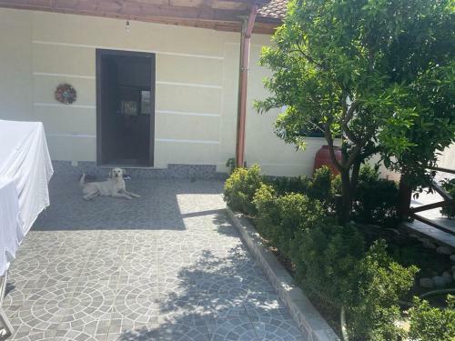 Apartamento Italian House