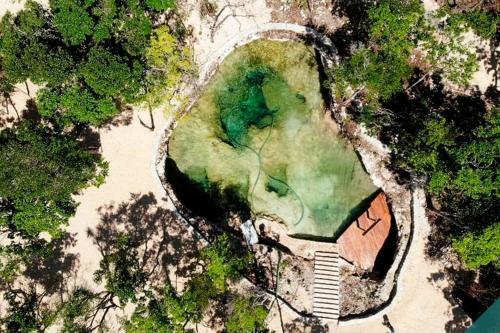 Villa Incre�ble Casa Elevada Con Cenote Privado En Tulum