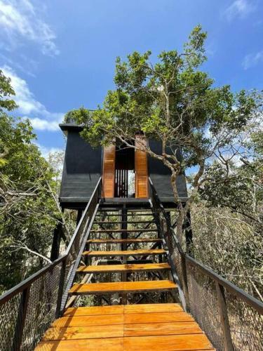 Villa Incre�ble Casa Elevada Con Cenote Privado En Tulum