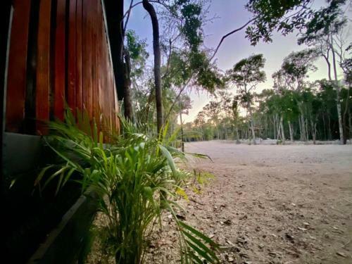 Villa Incre�ble Casa Elevada Con Cenote Privado En Tulum