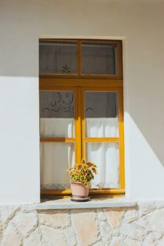 Paspali Guest House