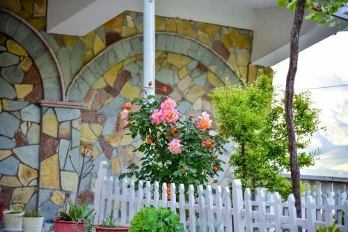 Hostal Grandma's