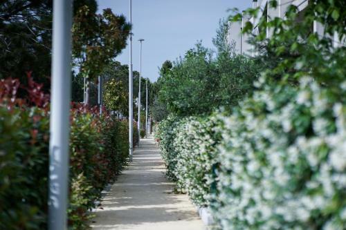 Roga Apartment Valamar