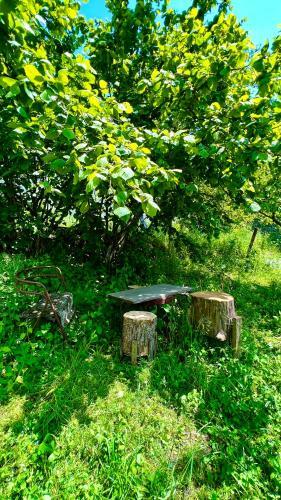 Mountain Top Get Away In Breathtaking Dilijan!