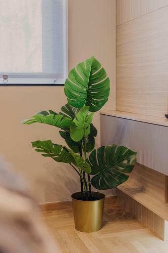 Apartman_bl