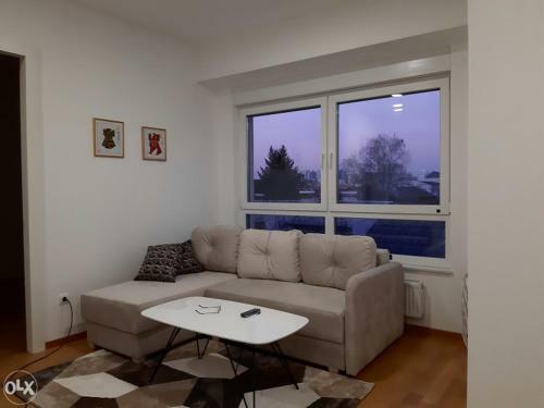 S&m Apartment