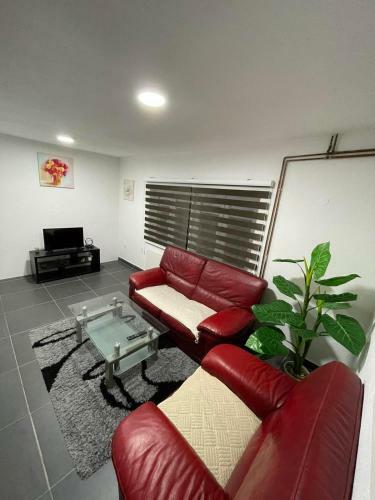 Amani Homes