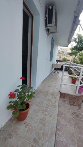 Hostal Summer Rooms