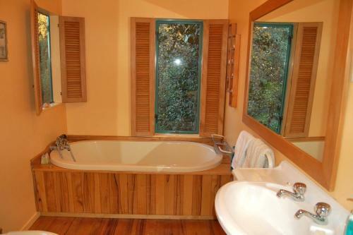 The Blue Penguin - Kuaotunu Holiday Home