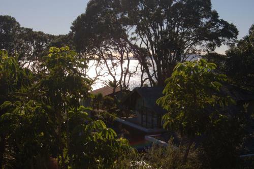 The Blue Penguin - Kuaotunu Holiday Home