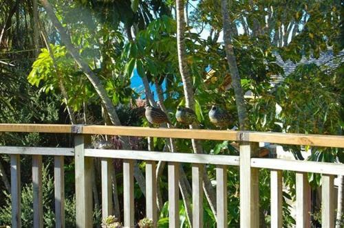 The Blue Penguin - Kuaotunu Holiday Home