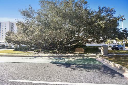 Phoenix East 508