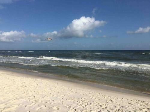 Bear Pt Pet Friendly Retreat