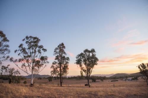 Sweeping Views Of Mudgee From "maggies Cottage"