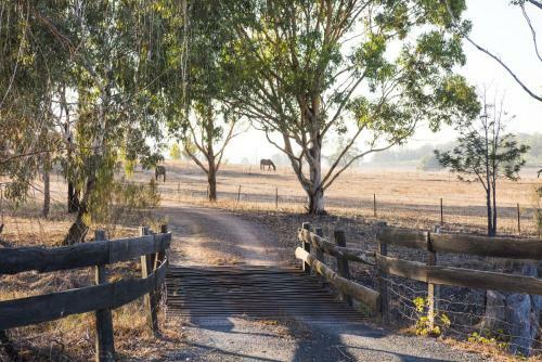 Peace And Privacy At "calving Gully Cottage"
