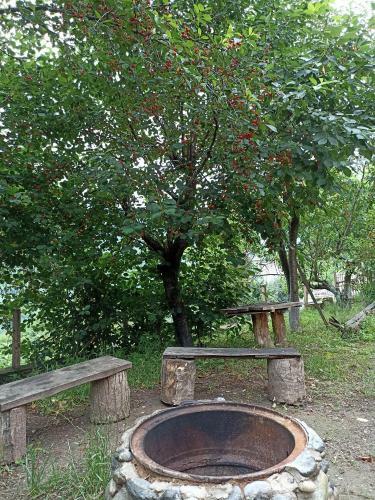 Apartamento Green Garden