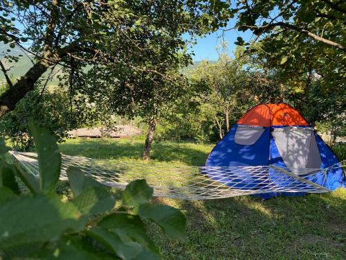 Hostal Eco Park Resort
