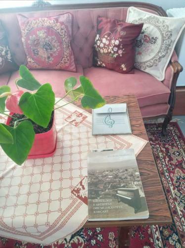 Bed & Breakfast Green Housee