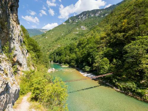 Adrenaline Rafting Camp Tara