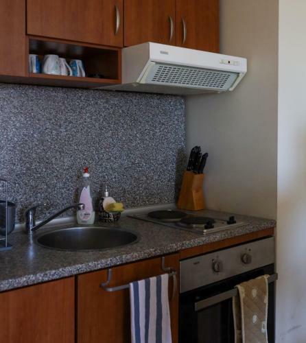Predela 1 Apartments