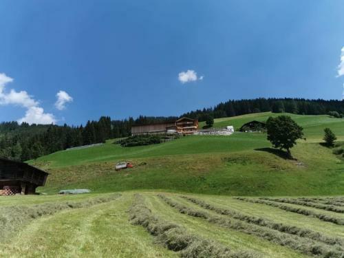 Apartamento Ferienwohnung "panoramablick" Wild-603 Fewo-plancom