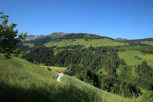 Apartamento Ferienwohnung "panoramablick" Wild-603 Fewo-plancom