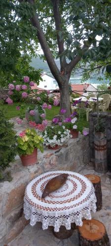 Family House Roleo