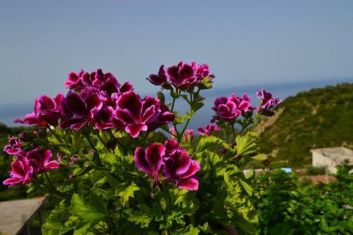 Apartamento Sea View Lukova