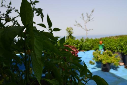 Apartamento Sea View Lukova