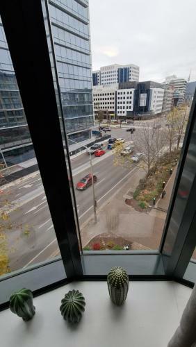 2br 2bath L4 Executive Apartment, In City Centre