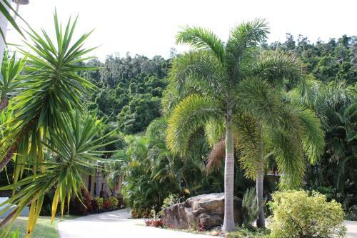 Apartamento Seven Palms