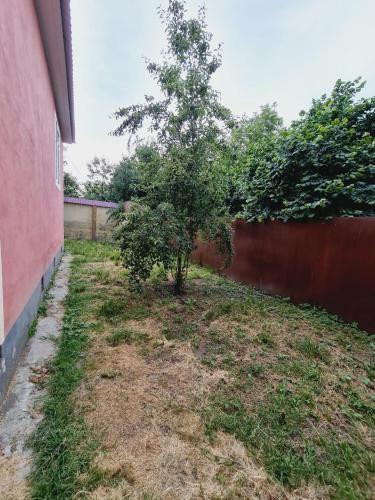 Apartamento Daglar Balaca Ev