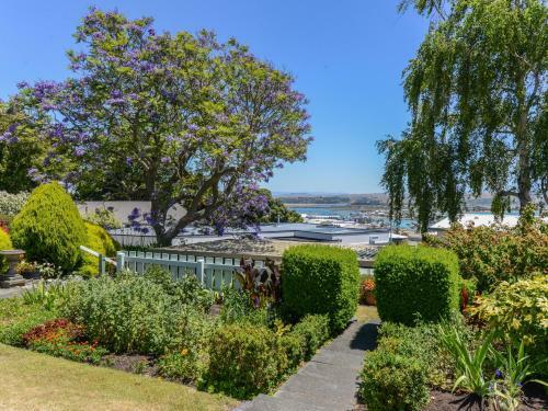Jacaranda Lodge - Napier Hill Holiday Home