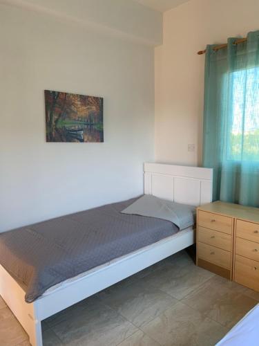 Villa In Ayia Thekla 3