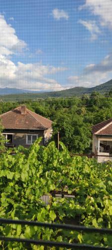 Berkovitsa Guest House Mountain View