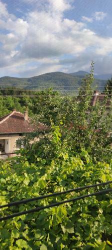 Berkovitsa Guest House Mountain View