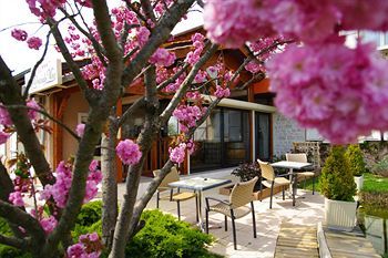 Hotel Des Grands Vins