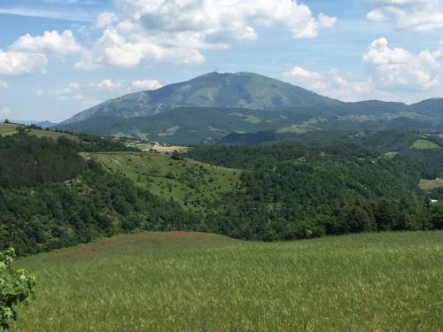 Holiday Home Seriola Apecchio