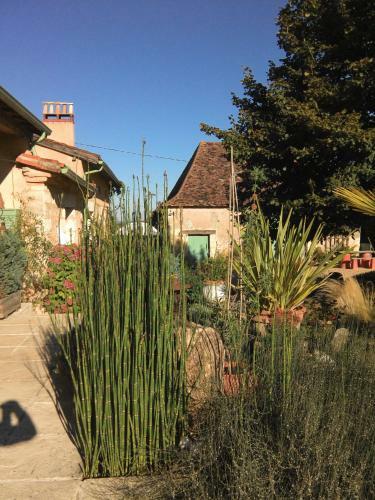 Hostal Couette Et Chocolat