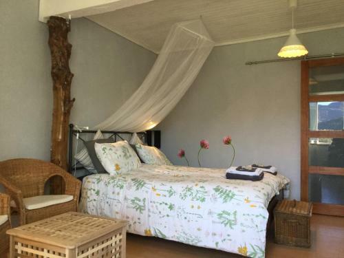 Bed & Breakfast Infocus-du-sud